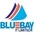Bluebay IT Limited - Built with React and Next.js